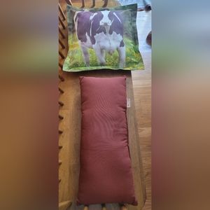 Set of 2 Outdoor Patio Decorative Pillows